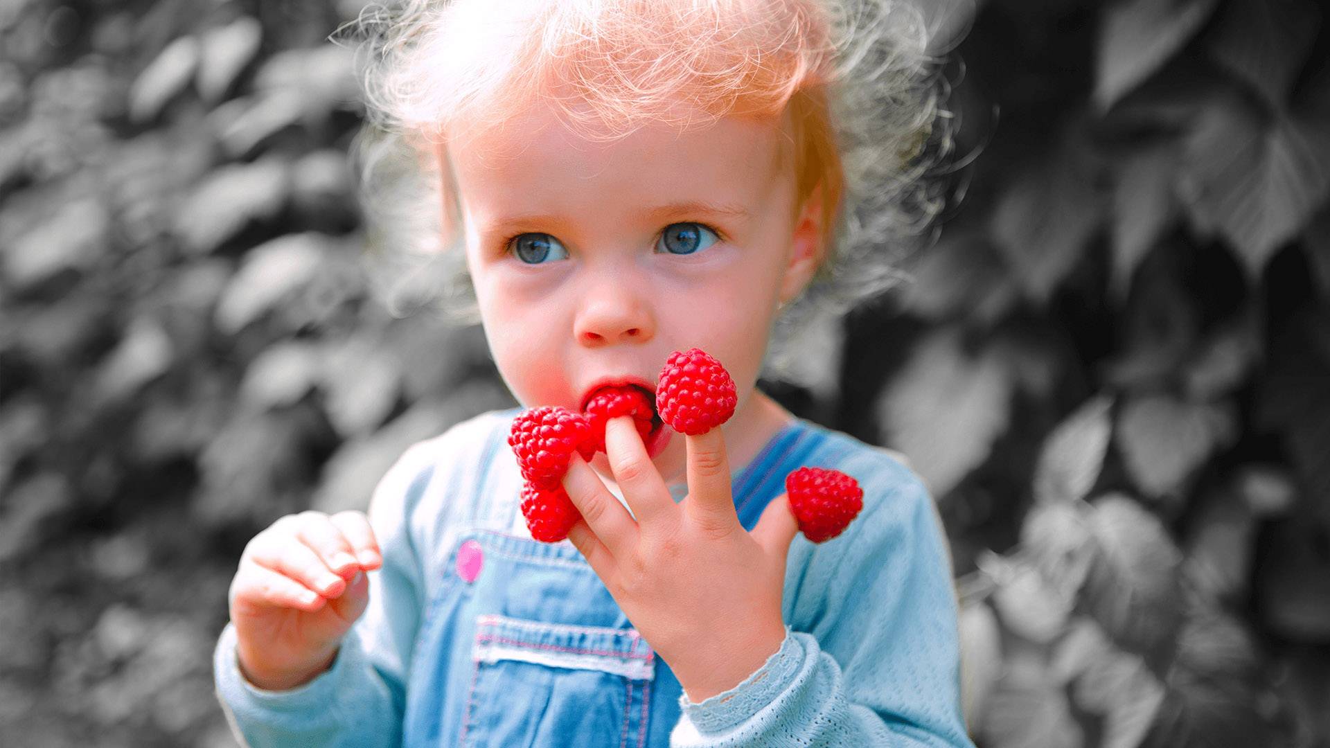 Adobe Photoshop & Premiere Elements Upgrade, 1 Lizenz Windows Bildbearbeitung