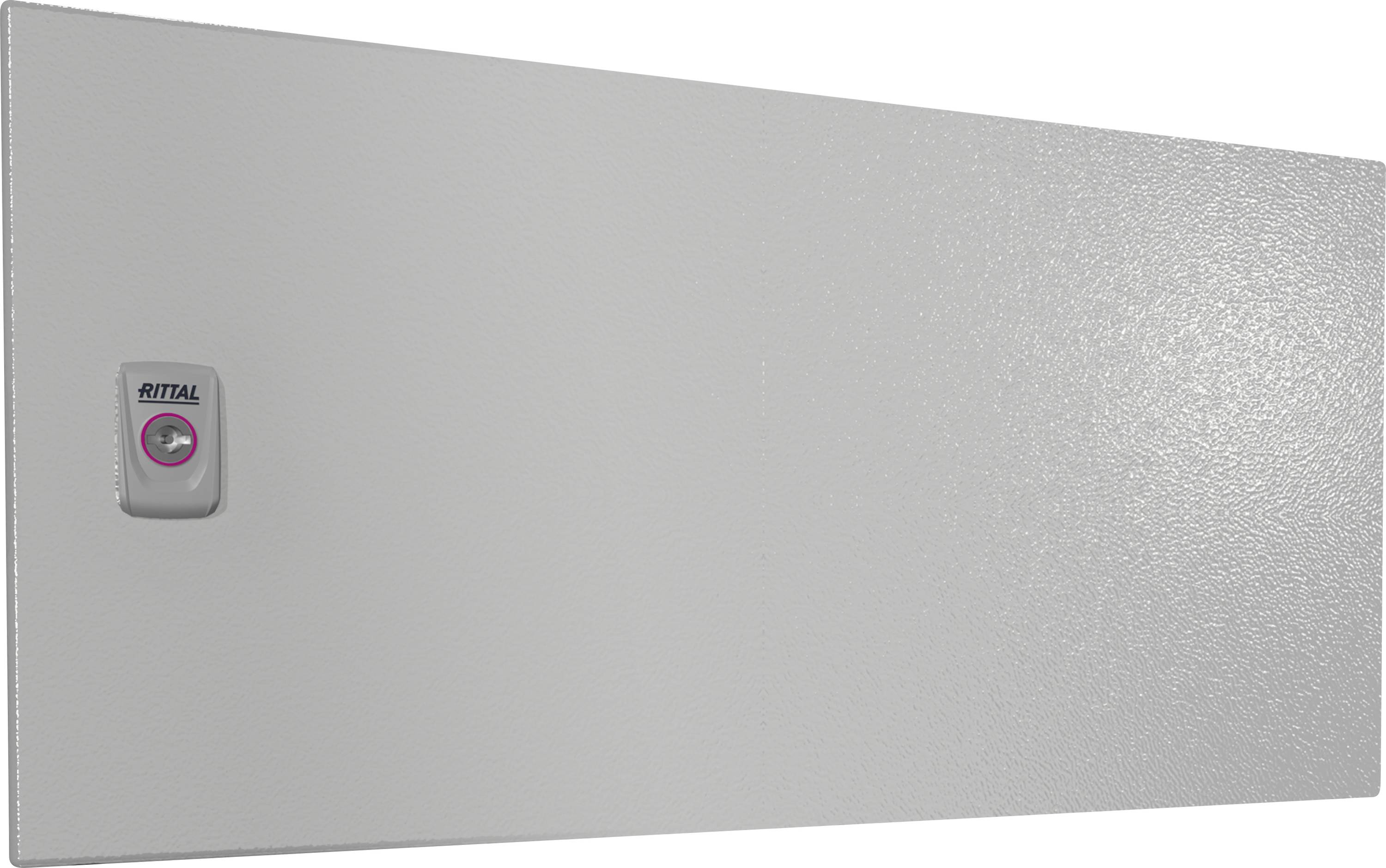 Porte de coffret métallique grise et rectangulaire avec une petite poignée sur le côté gauche. La poignée porte le logo 'Rittal'.