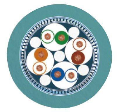 Graphique abstrait avec des cercles de différentes couleurs et un motif décoratif, illustrant la symétrie et l'harmonie.