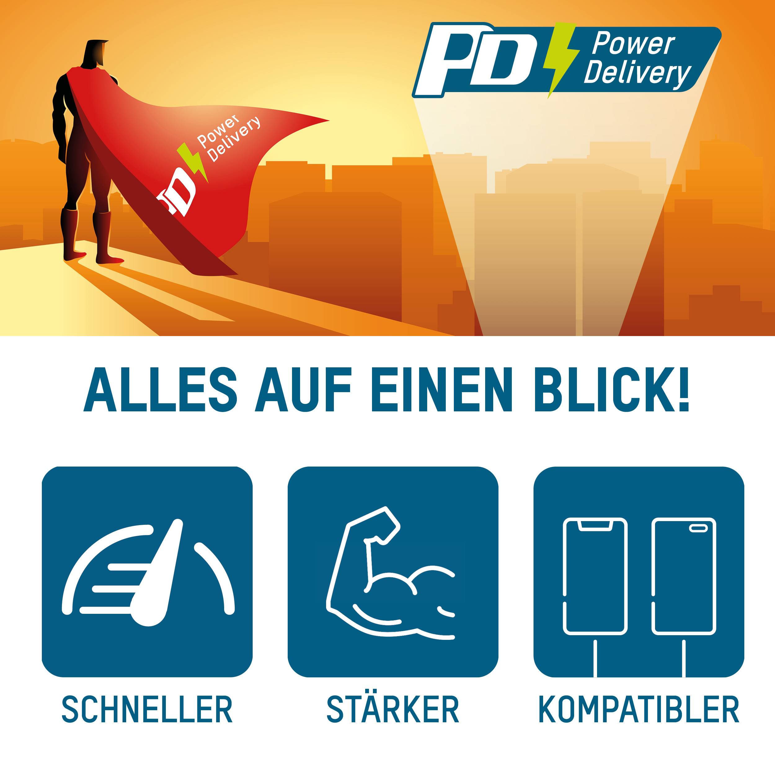 Ansmann Home Charger 254PD Chargeur USB 65 W 1x USB-A, 1x USB-C® Power Delivery noir intérieure GaN