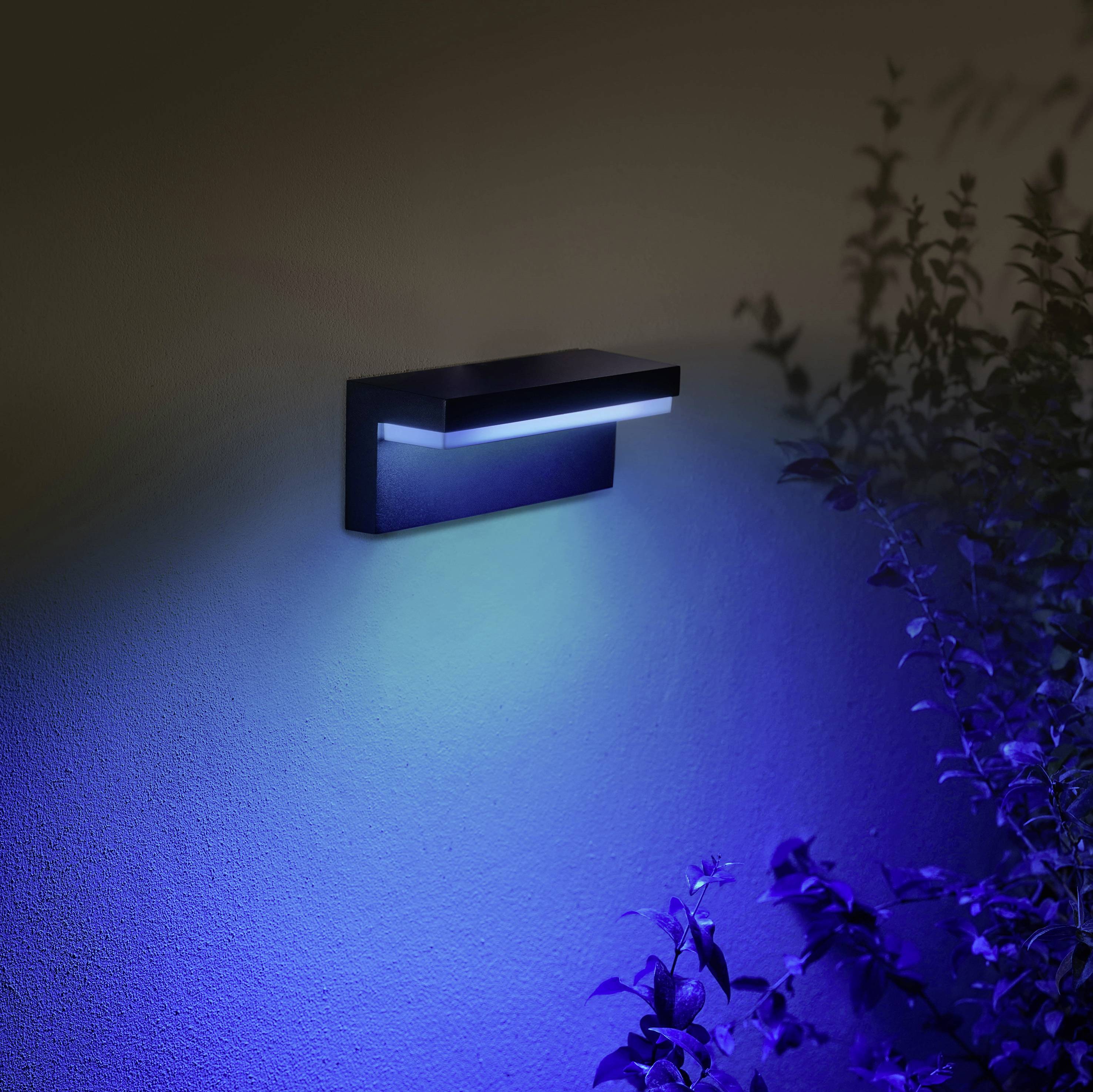 Un applique murale moderne projette une lumière bleue sur une plante adjacente, qui est partiellement illuminée.