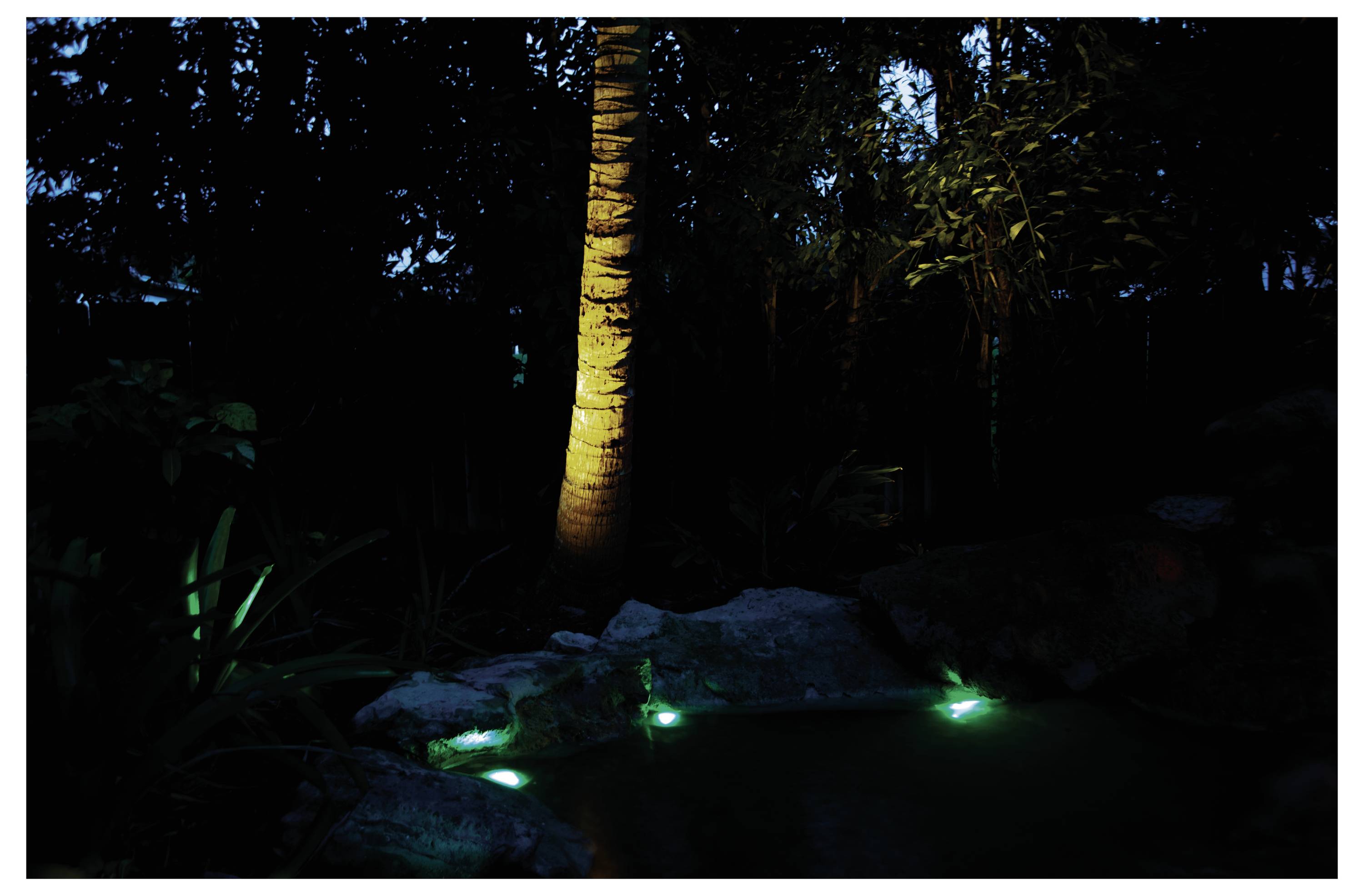 Une cascade dans une forêt, élégamment éclairée par une lumière bleue, s'écoule sur des rochers. Un palmier illuminé en arrière-plan complète la scène.