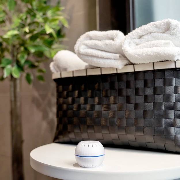 Shelly 20193 Capteur de température et capteur d'humidité de l'air Wi-Fi