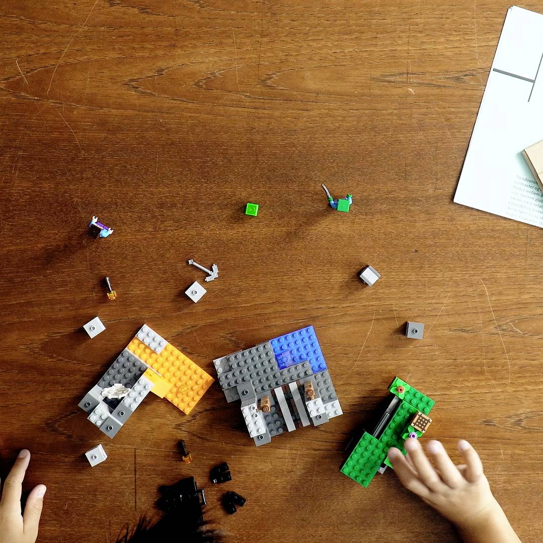 21166 LEGO® MINECRAFT