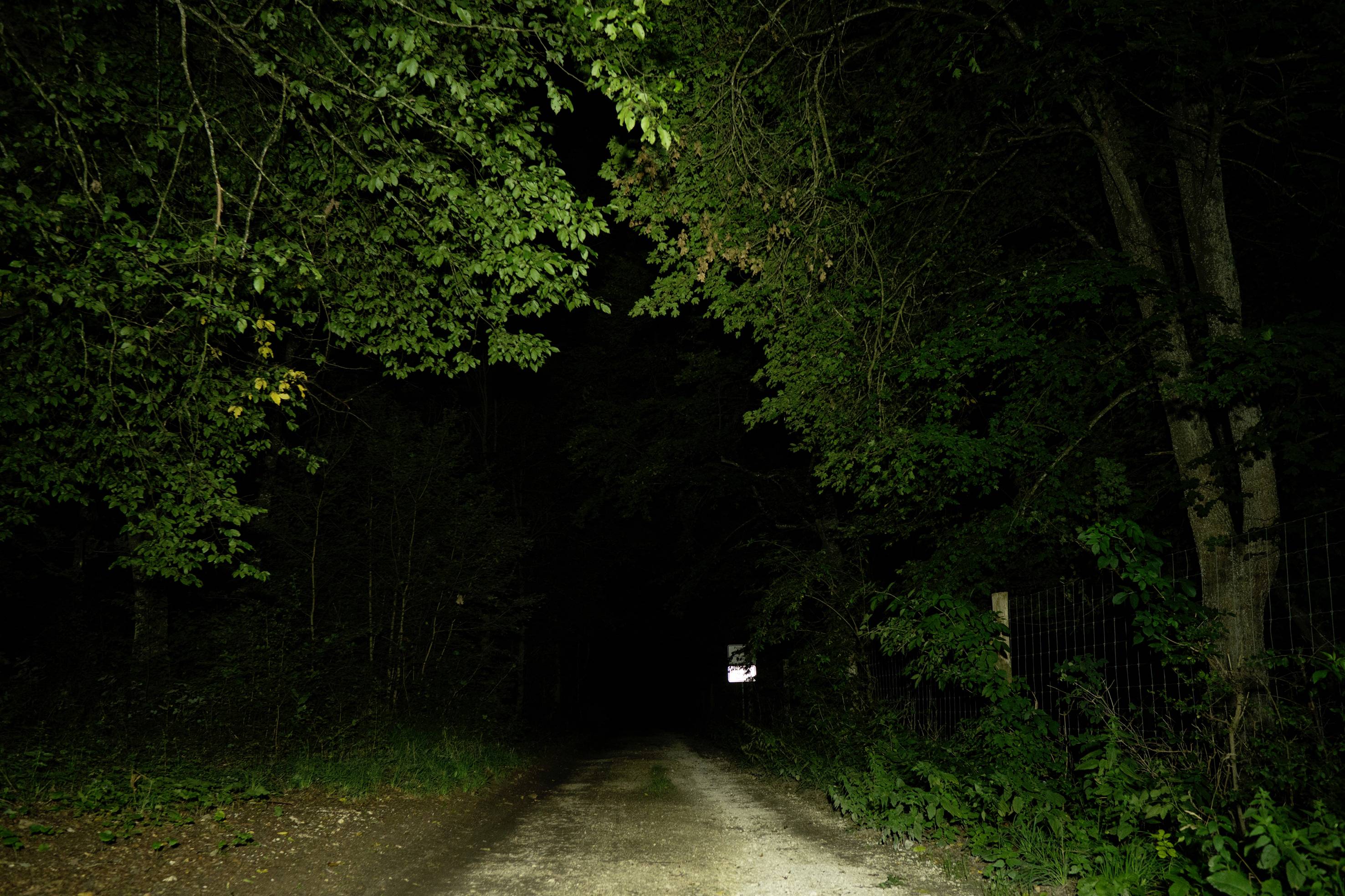 OSRAM Phare de recul 12 V, 24 V LEDriving Reversing VX 120R-WD, runder LED Rückfahrscheinwerfer LEDDL108-WD éclairage à large