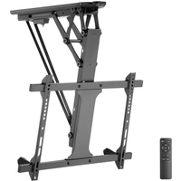 My Wall HL 41 ML Support TV pour plafond support de plafond, motorisé, réglable en hauteur, mobile anthracite My Wall HL 41 ML Support TV pour plafond support de plafond, motorisé, réglable en hauteur, mobile anthracite