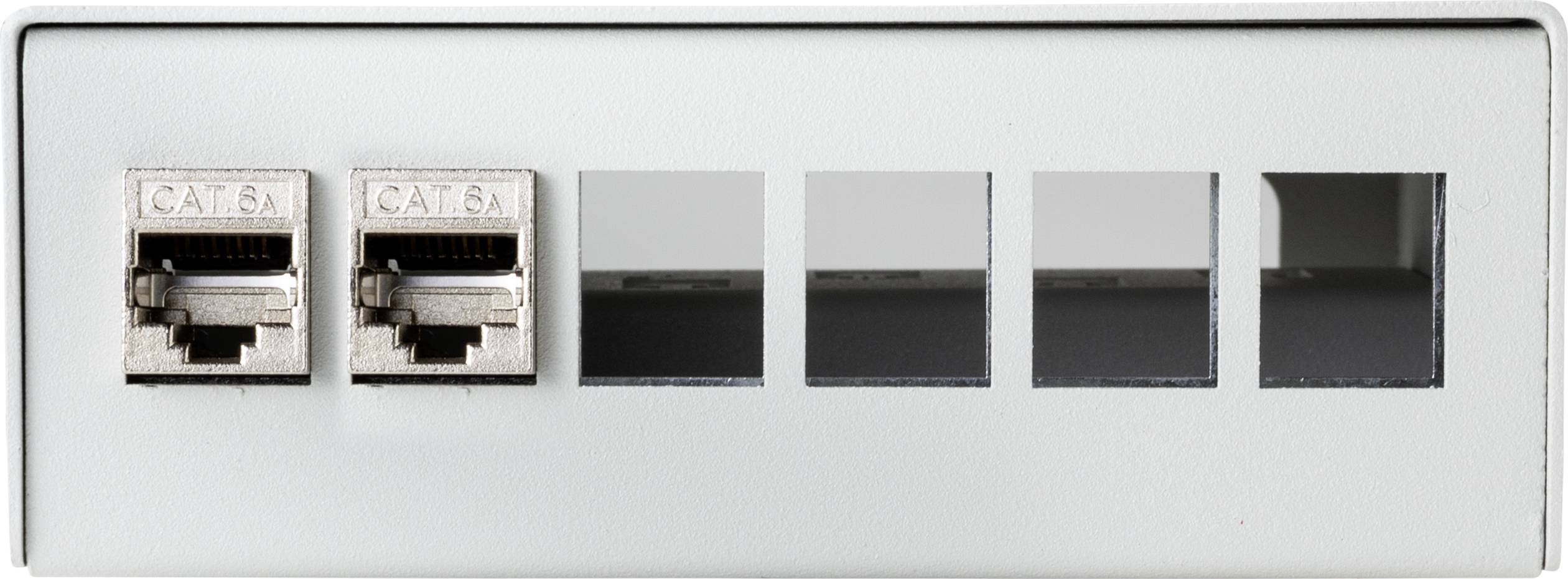 Deux ports Ethernet à gauche, code 'CAT 6A', et quatre ports vides à droite sur un panneau avant en argent.