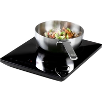 DOMO DO332IP Plaque à induction fonction minuteur, avec écran, filaire DOMO DO332IP Plaque à induction fonction minuteur, avec écran, filaire