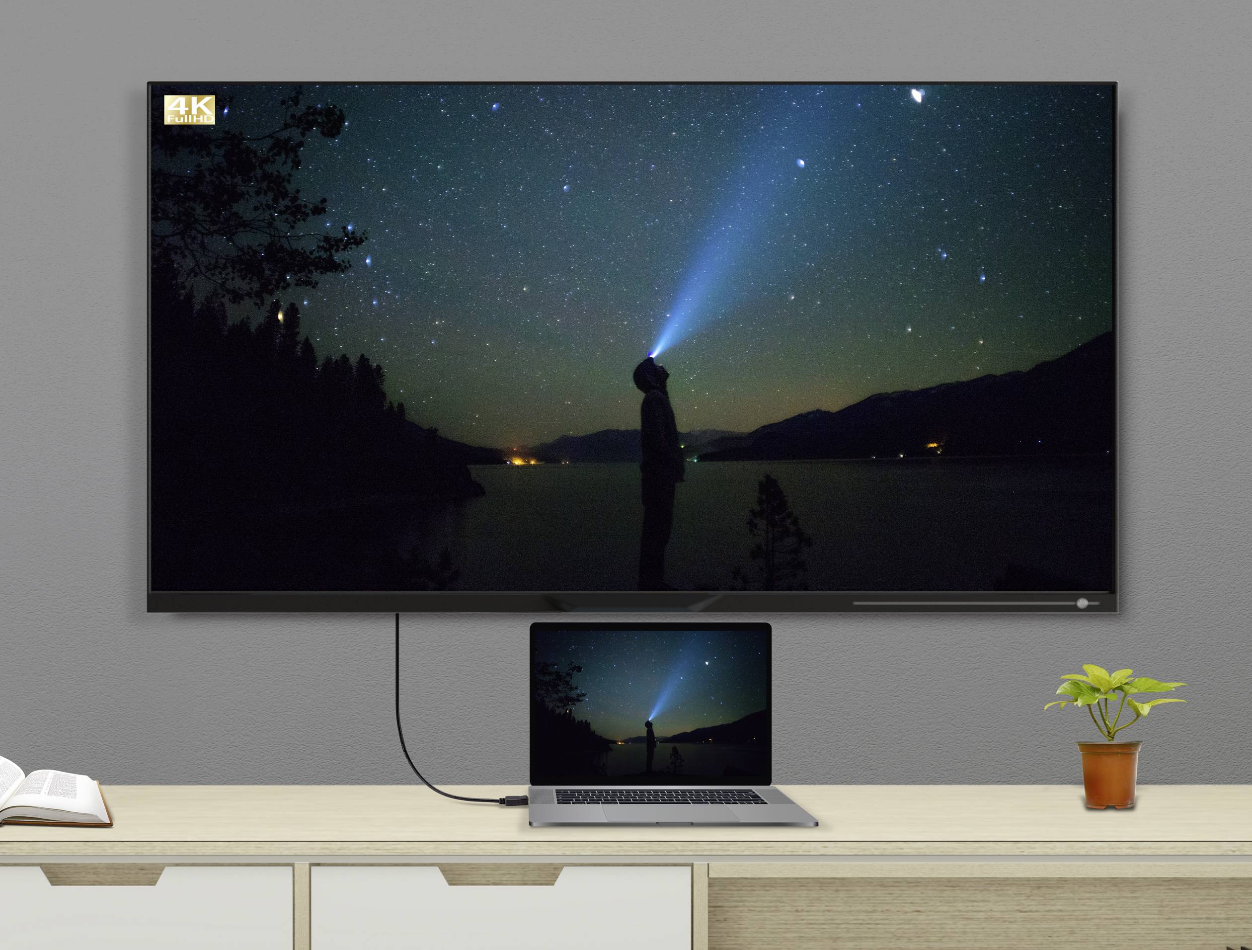 Câble de raccordement Renkforce DisplayPort Fiche mâle DisplayPort, Fiche mâle DisplayPort 2.00 m noir SP-9163792 contacts dorés