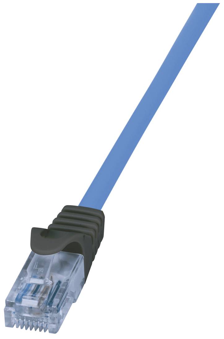 Un câble Ethernet bleu avec un connecteur RJ45 est posé sur un fond blanc.