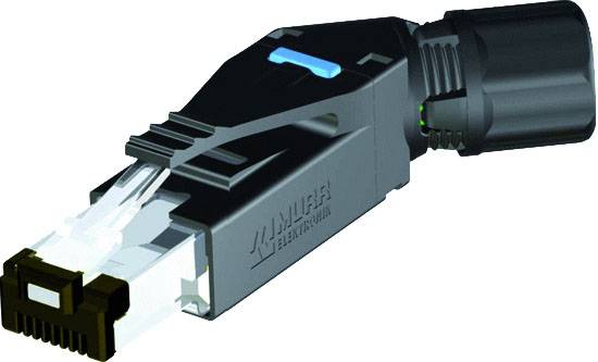 Un connecteur Ethernet industriel noir avec un embout transparent et une bande bleue. Conçu pour des connexions réseau robustes.