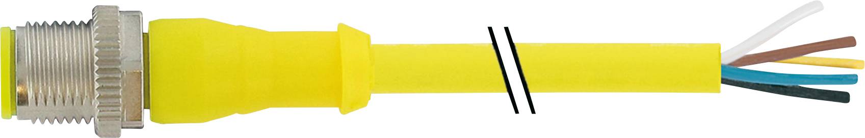 Câble Ethernet jaune avec connecteur métallique sur la gauche. À droite, le câble est dénudé, montrant les conducteurs internes colorés.