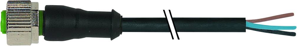 Câble tripolaire gainé de noir avec fiche à vis, extrémités dénudées en marron, bleu et vert pour connexions électriques.