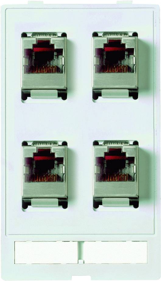 Insert de connecteur de données Modlink MSDD Murrelektronik Contenu: 1 pc(s)