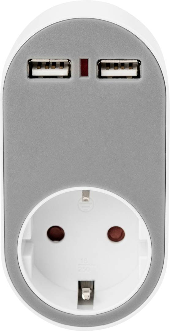 Une prise électrique avec deux ports USB et un contact de terre. Grande surface grise avec connexion intégrée, idéale pour un chargement multifonctionnel.