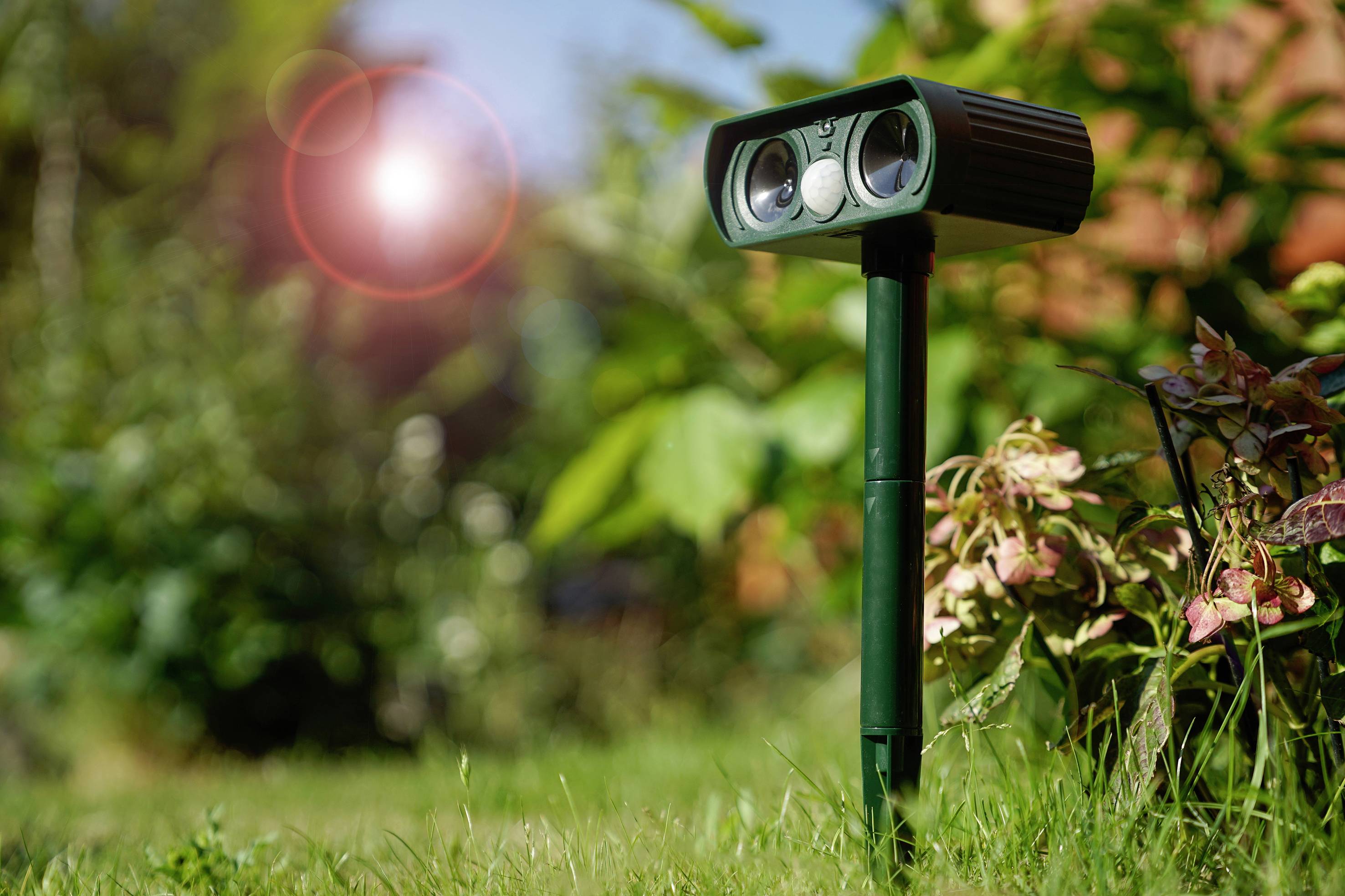 Répulseur d'animaux Gardigo Dual Type de fonctions multiple fréquence 1 pc(s)