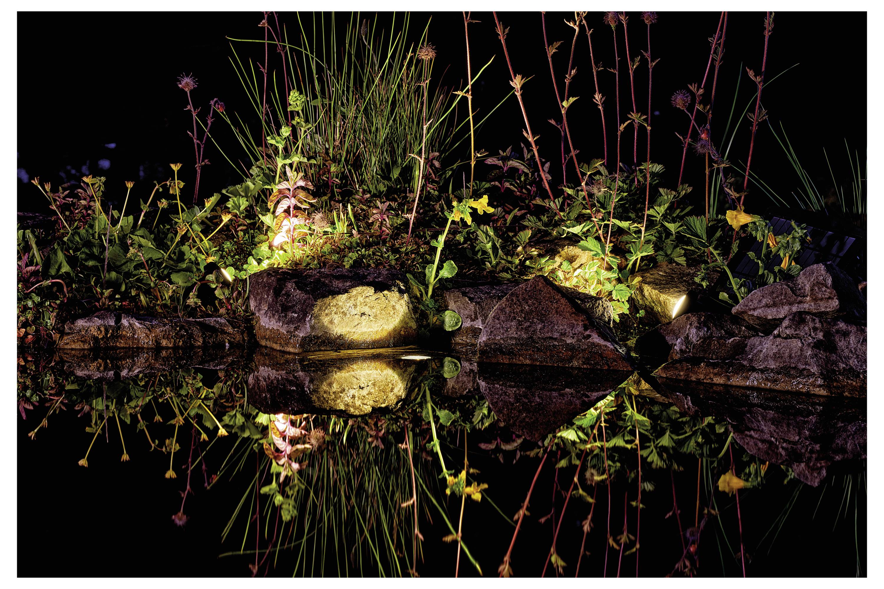 Une scène de jardin nocturne avec des plantes illuminées et des rochers se reflétant dans un plan d'eau calme, créant une atmosphère sereine et tranquille.