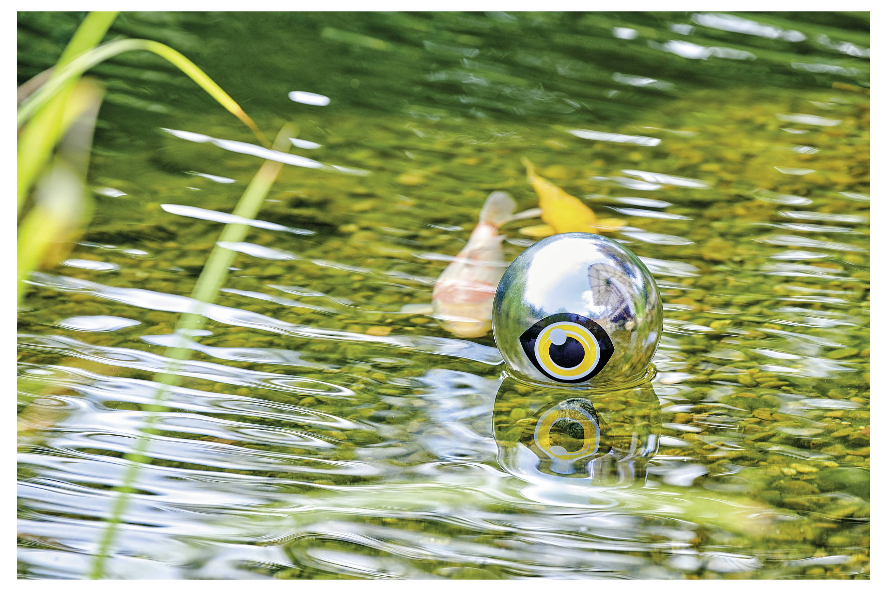 Une boule réfléchissante flotte sur un étang, entourée d'eau claire et de feuillage vert, créant une scène sereine et paisible.