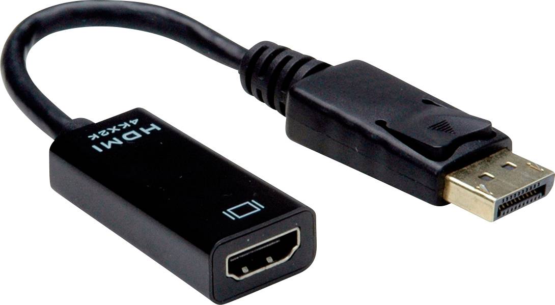 Un câble adaptateur noir de HDMI vers DisplayPort pour les connexions vidéo.