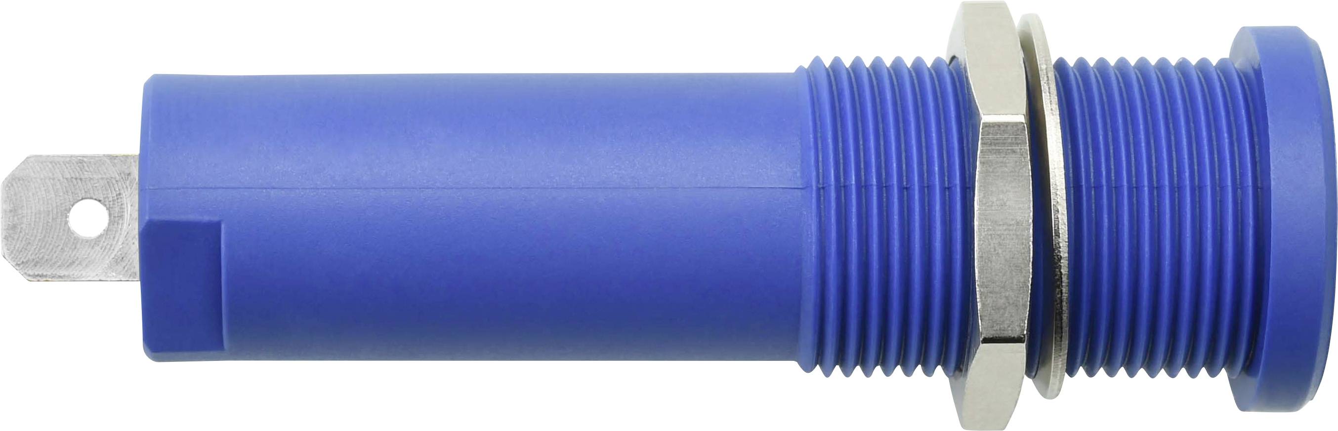 Schützinger DI HSEB 3125 L Ni / BL Prise encastrable de sécurité pour haute tension bleu 1 pc(s)