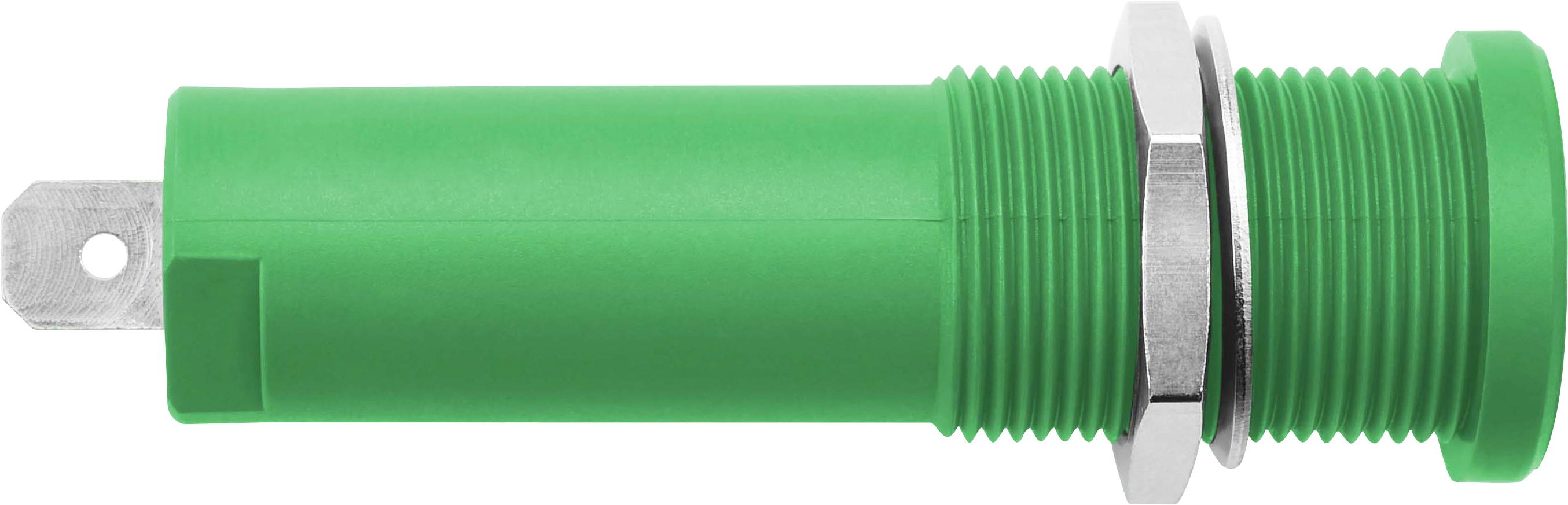 Schützinger DI HSEB 3125 L Ni / GN Prise encastrable de sécurité pour haute tension vert 1 pc(s)