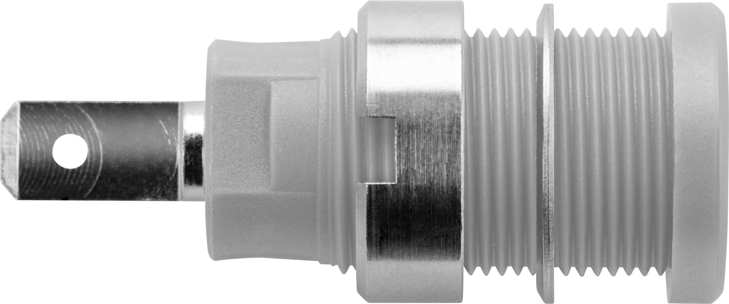 Schützinger DI SEB 6450 Ni / GR Prise encastrée de sécurité gris