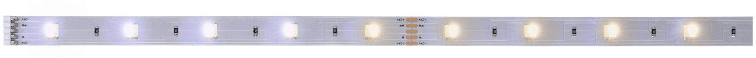 Paulmann 79861 Ruban LED avec connecteur mâle 1 m blanc chaud