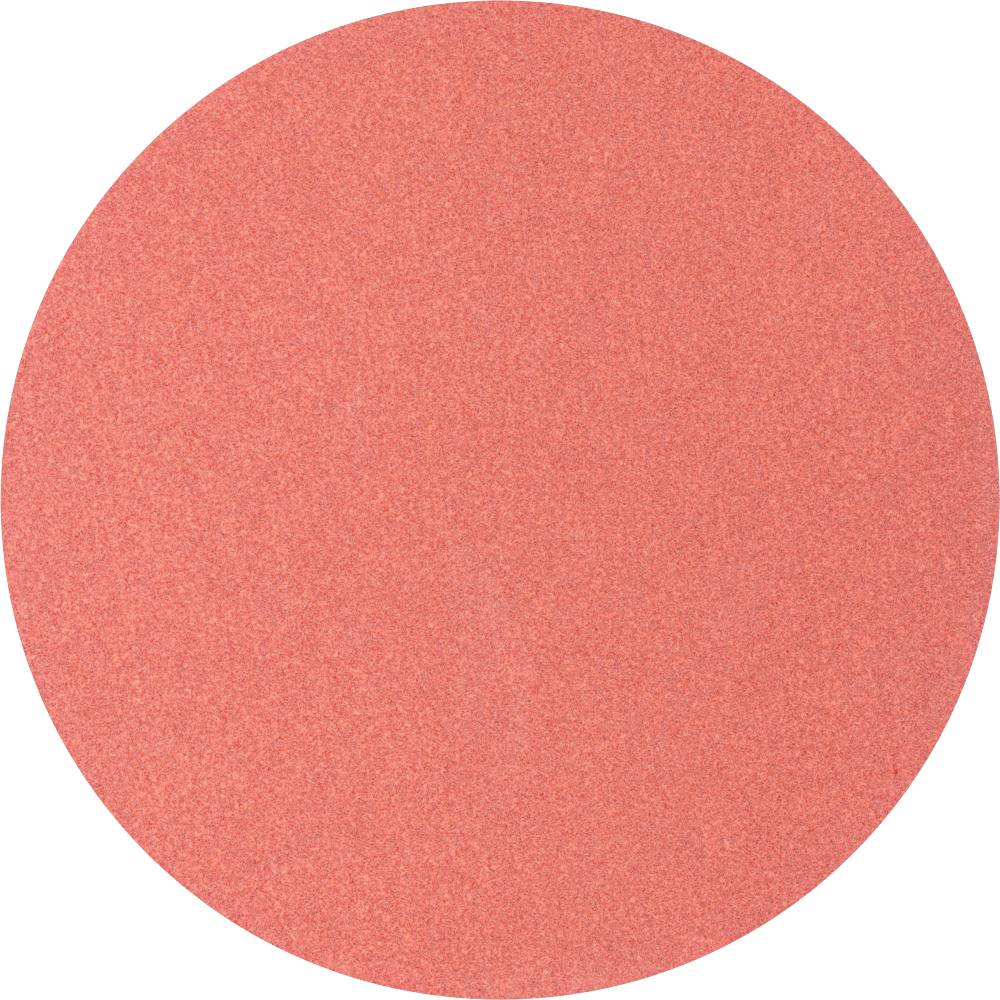 Un cercle rouge simple sur un fond blanc.
