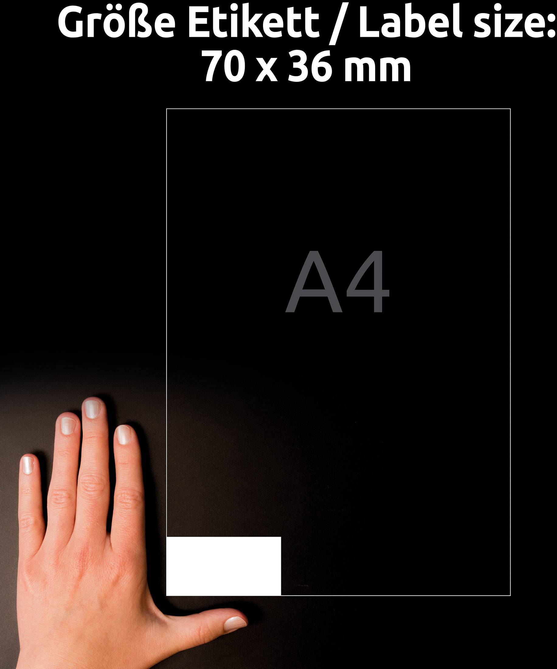 'Taille de l'étiquette / Label size: 70 x 36 mm' est inscrit au-dessus d'une image montrant une main à côté d'une feuille A4 avec une petite étiquette en bas à gauche.