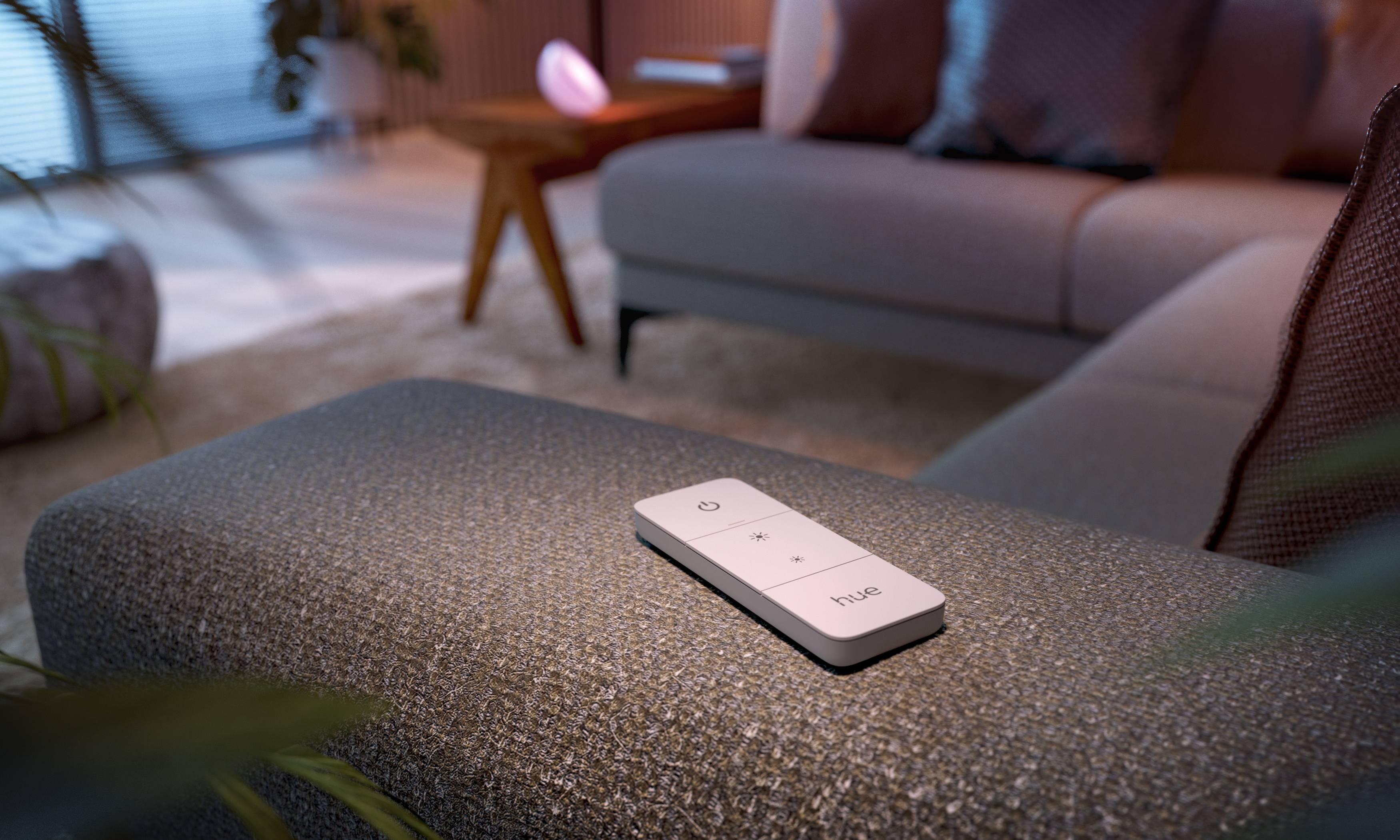 Philips Hue Module d'éclairage 915005821901+27461700 RVBB