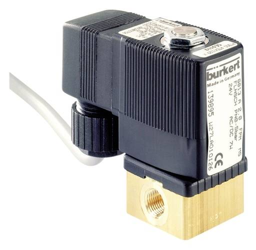 Bürkert Électrovanne à plongeur 266294 6013 12 V G 1/4 Largeur nominale (détails) 6 mm à effet direct 1 pc(s)