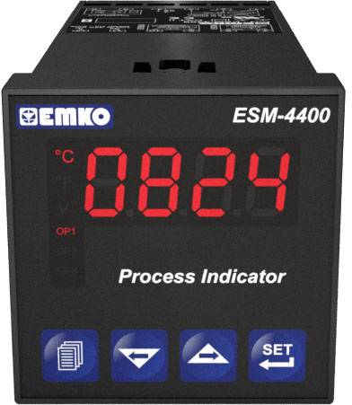 Emko ESM-4400.1.20.1.1/00.00/0.0.0.0 Afficheur de process