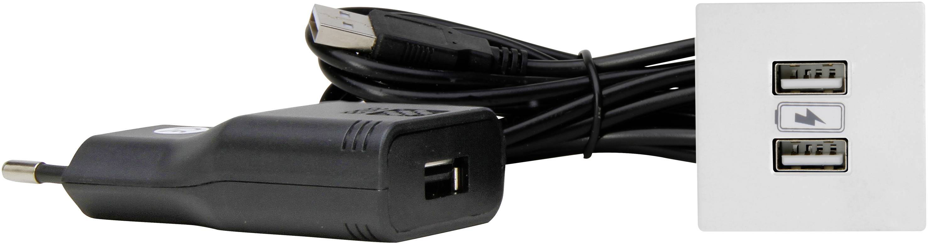 Kopp 939725014 Prise de courant encastrée avec USB IP20