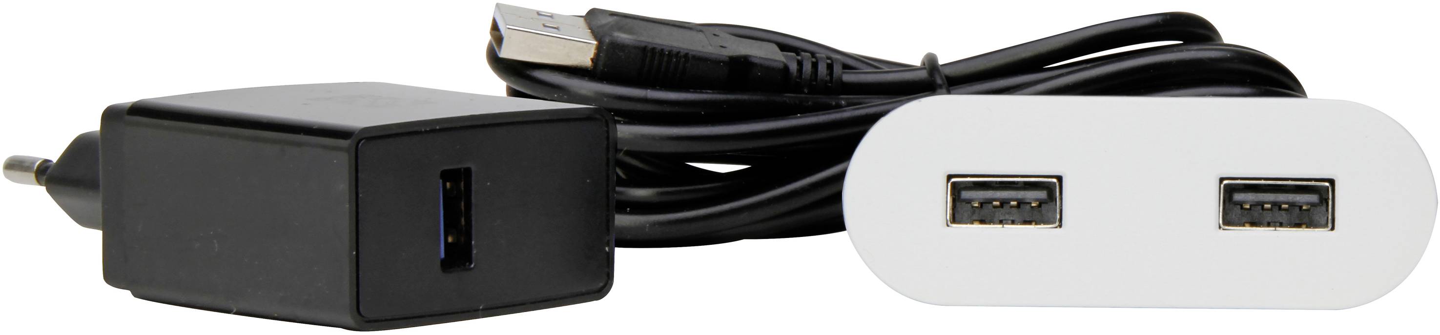 Kopp 939756016 Prise de courant encastrée avec USB IP20 blanc