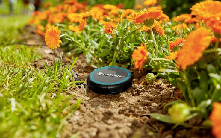 Un capteur noir Gardena est placé dans un massif de fleurs, entouré de fleurs oranges et d'herbe verte, surveillant les conditions du sol.