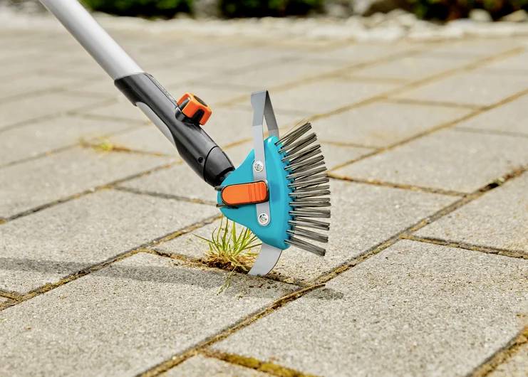 Un outil doté de poils métalliques et d'un manche est utilisé pour enlever les mauvaises herbes entre les joints des pavés sur un chemin.