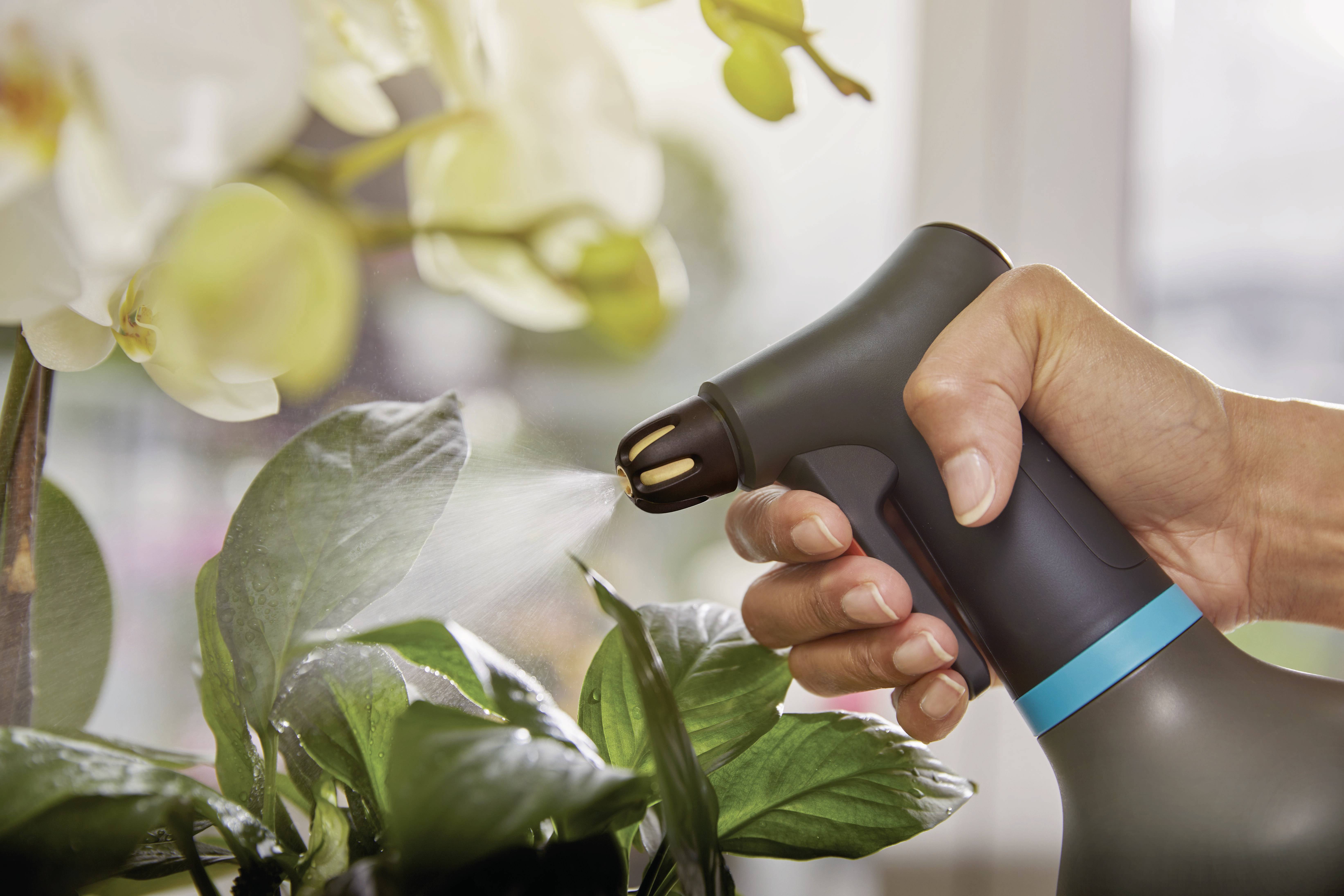 Une main vaporise de l'eau sur des feuilles de plantes vertes à l'aide d'un vaporisateur. Des fleurs floues sont visibles en arrière-plan.