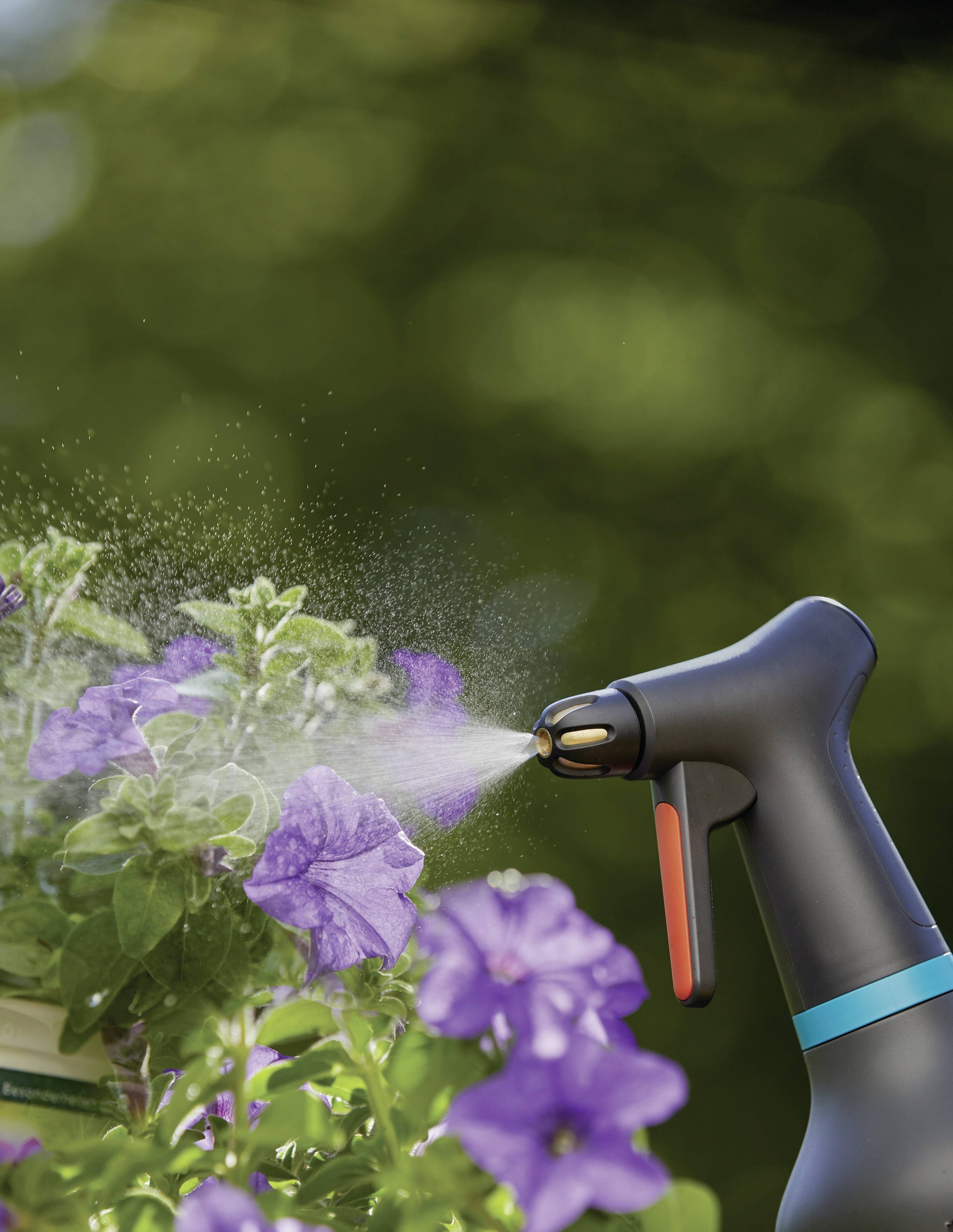 Une personne pulvérise de l'eau sur des fleurs lilas à l'aide d'un vaporisateur dans un jardin.