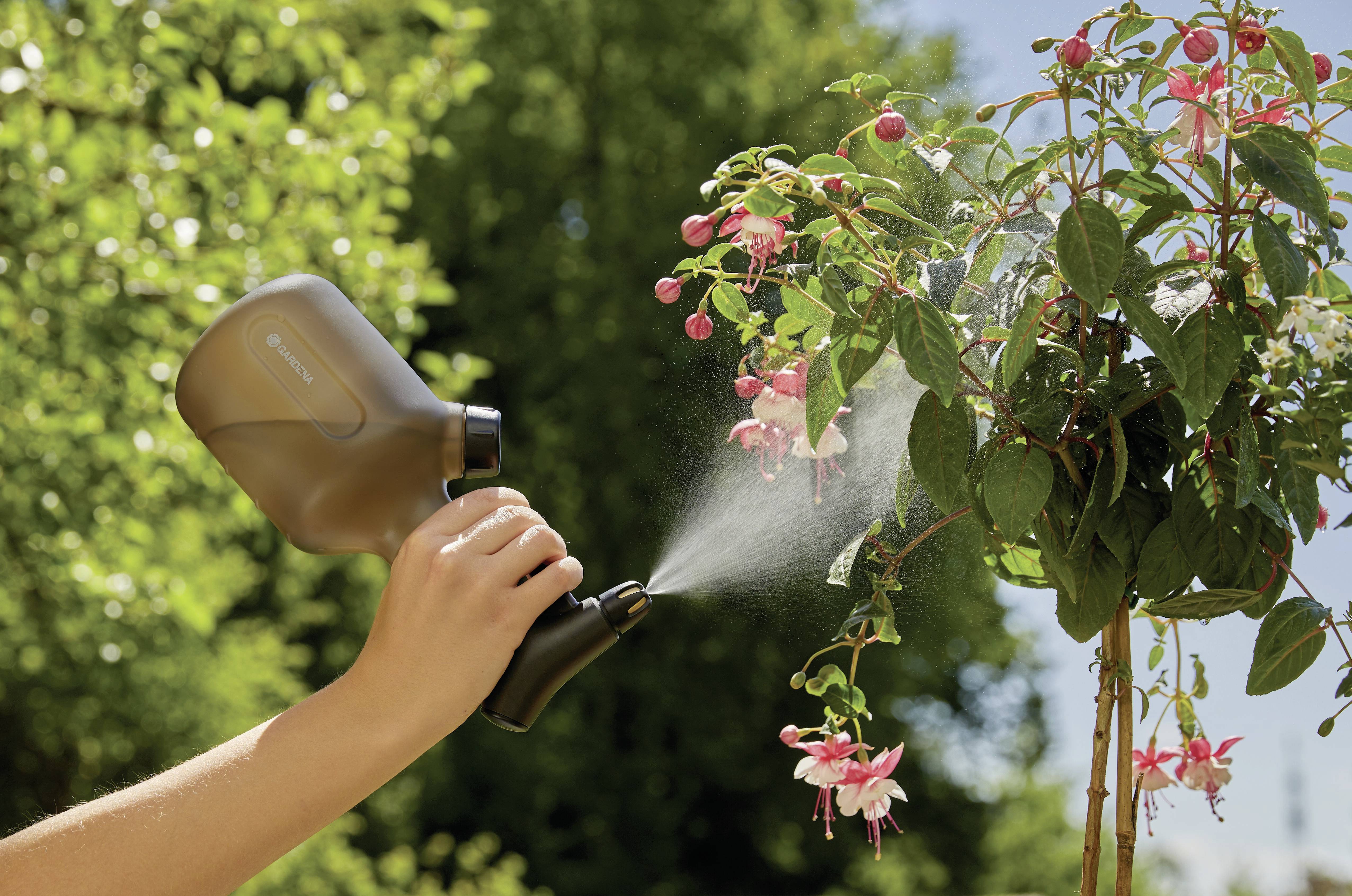 Une personne tient un arrosoir brun et arrose une plante en fleurs à l'extérieur par une journée ensoleillée.