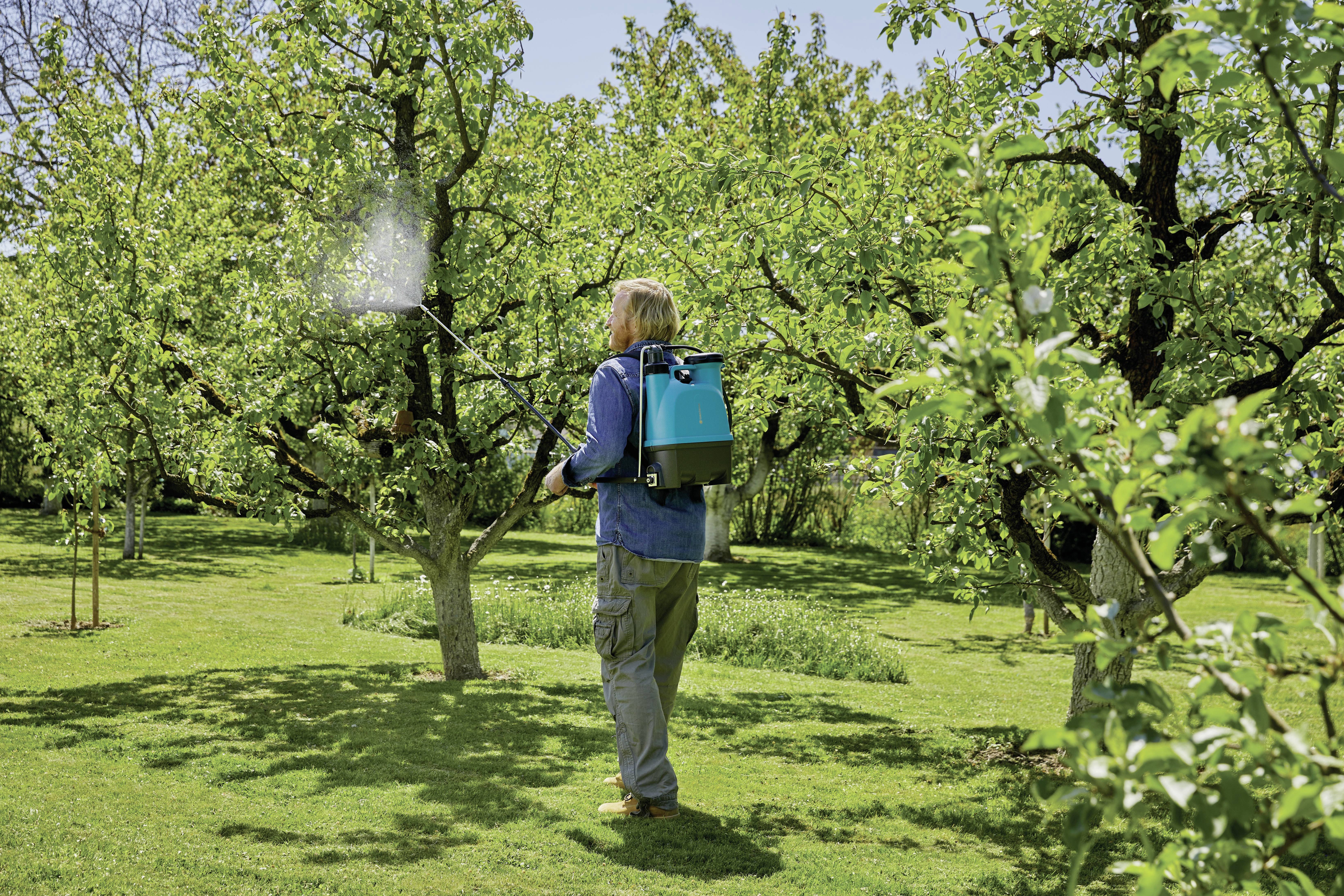 Une personne dans le jardin pulvérise des arbres à l'aide d'un pulvérisateur à dos. Un feuillage vert luxuriant et un temps ensoleillé sont visibles.