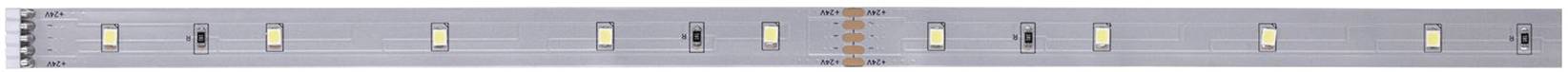 Paulmann MaxLED Stripe Daylight 79857 Ruban LED avec connecteur mâle 1 m blanc lumière du jour