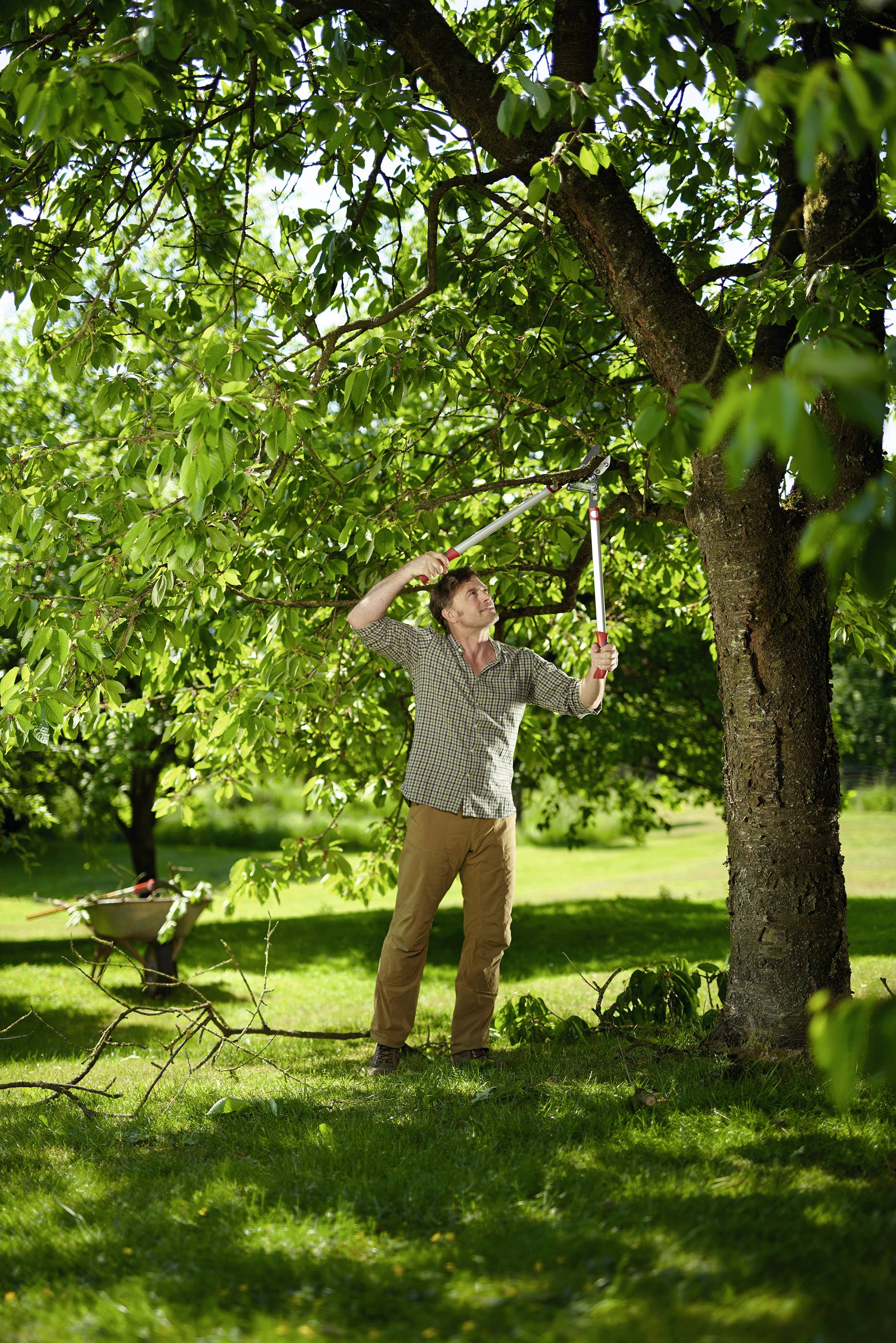 WOLF-Garten 73AGA010650 POWER CUT RS 800 V Coupe-branches 75 cm enclume