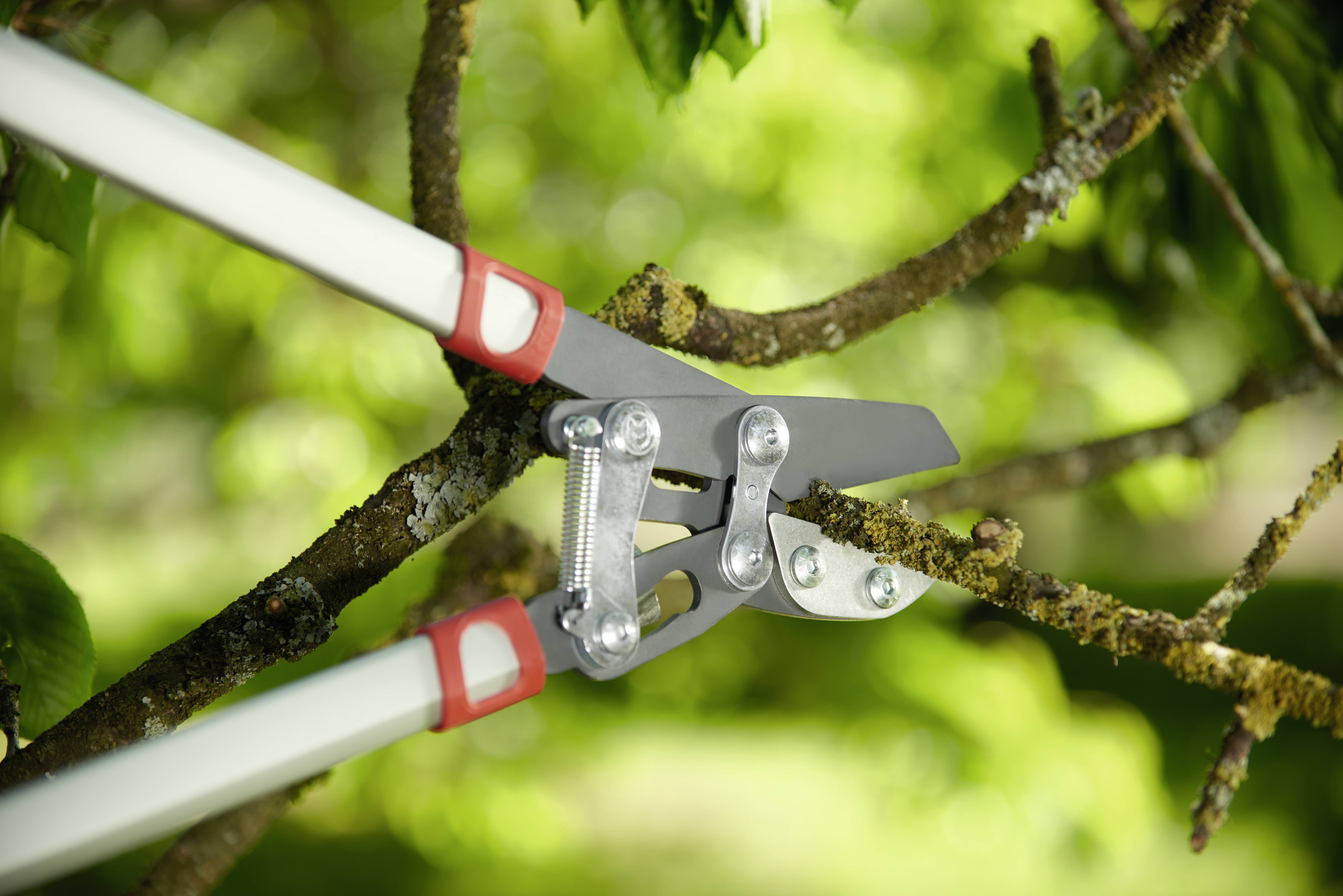 WOLF-Garten 73AGA010650 POWER CUT RS 800 V Coupe-branches 75 cm enclume