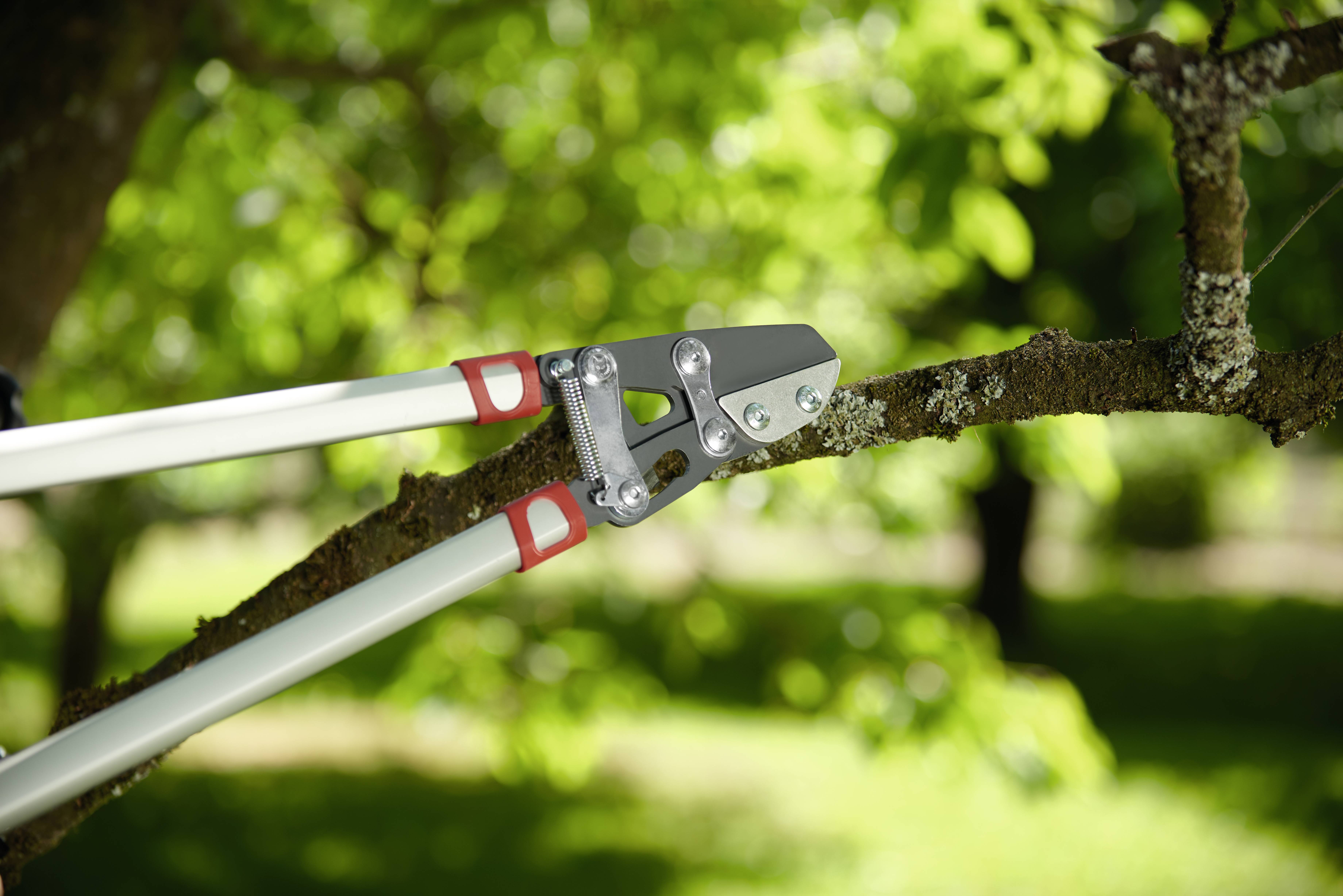 WOLF-Garten 73AGA010650 POWER CUT RS 800 V Coupe-branches 75 cm enclume