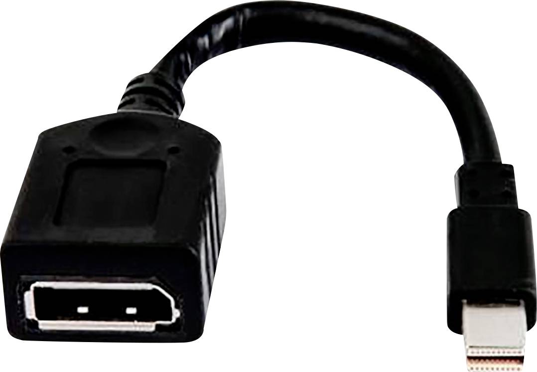 Un adaptateur noir de DisplayPort vers Mini DisplayPort, servant à connecter des appareils avec des ports différents.