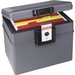 Boîte de protection contre l'incendie NOFIRE FA-2037FE 2037FE protégé contre l'incendie, étanche, avec dossier suspendu avec Boîte de protection contre l'incendie NOFIRE FA-2037FE 2037FE protégé contre l'incendie, étanche, avec dossier suspendu avec