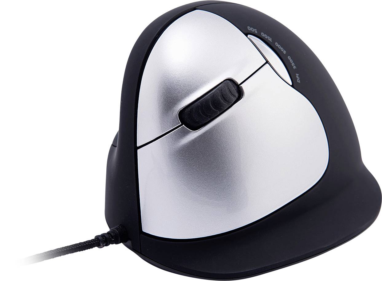 R-GO Tools HE (RGOHELELA) Souris ergonomique USB Taille: L noir,argent 5 Boutons 500 dpi, 1500 dpi, 2000 dpi, 3500 dpi ergonomique