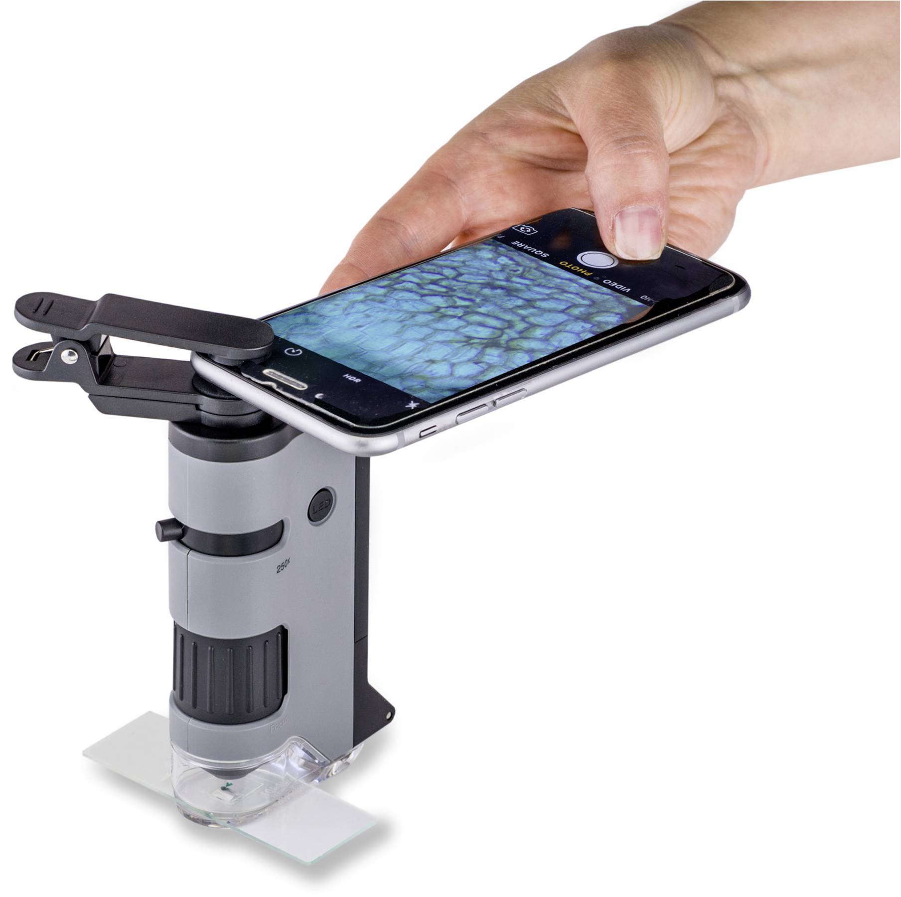 Une main utilise un accessoire microscope pour smartphone, affichant l'image d'une structure avec des motifs bleus et noirs sur l'écran.