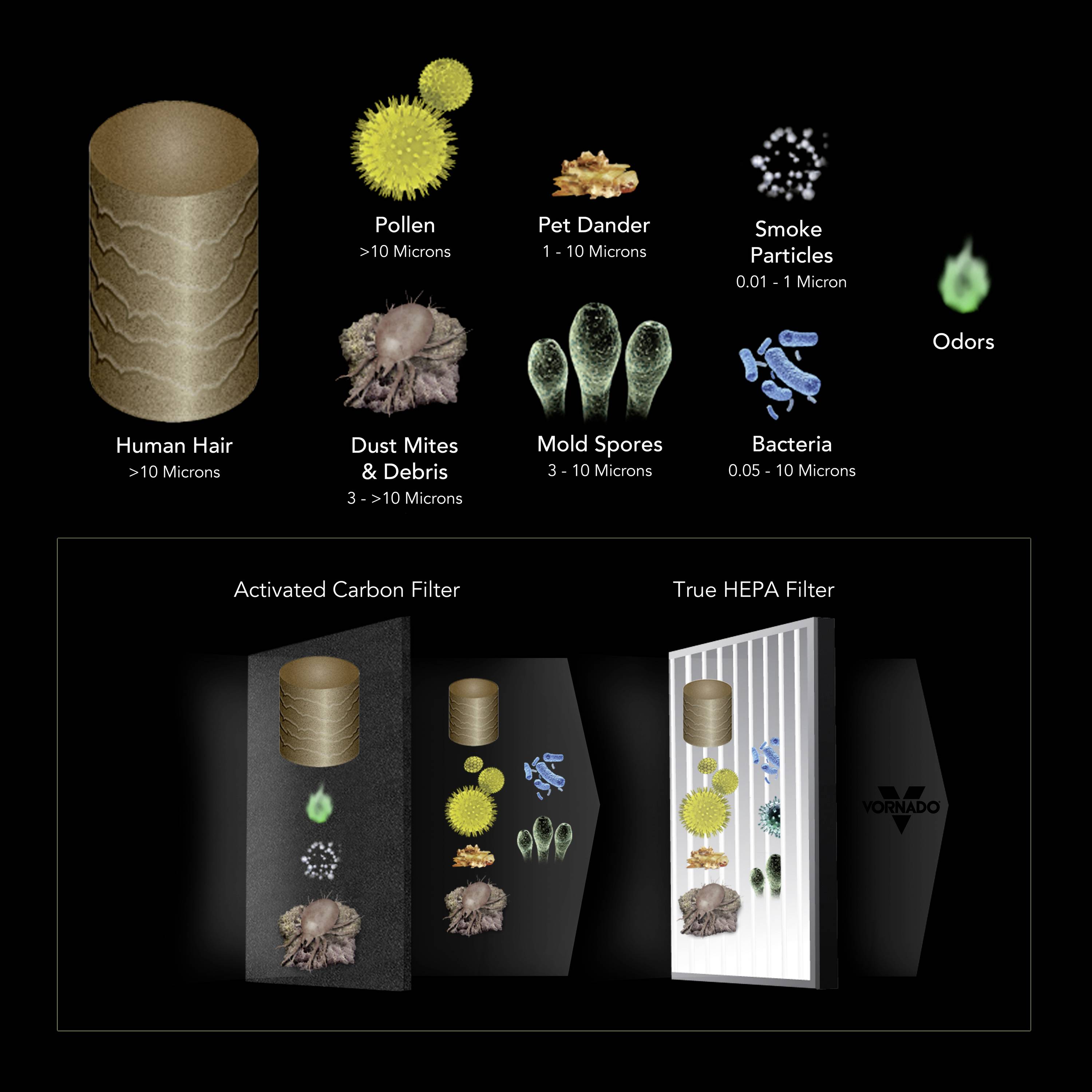 L'image montre deux filtres, l'un à charbon actif et l'autre un véritable filtre HEPA, qui filtrent les polluants tels que le pollen, la fumée, les bactéries et les odeurs.