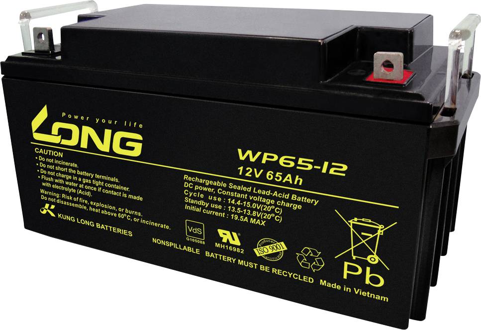 Long WP65-12 WP65-12 Batterie au plomb 12 V 65 Ah plomb (AGM) (l x H x P) 350 x 174 x 166 mm raccord à vis M6 certification VdS